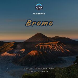pakej pelancongan bromo