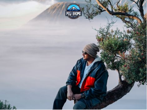 surabaya ke bromo