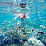 No 1 Snorkeling Gili Ketapang : Probolinggo Pesona Bawah Laut yang Memukau