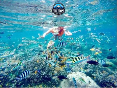 snorkeling gili ketapang