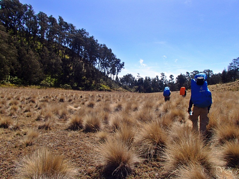 petualangan seru
