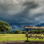 Alas Baluran Banyuwangi: Lokasi, Rute, dan Tips Wisata Terbaru 2025