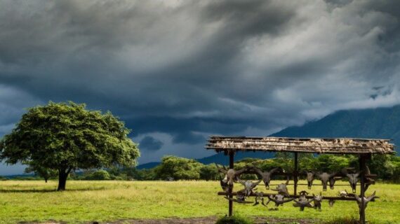 Alas Baluran Banyuwangi: Lokasi, Rute, dan Tips Wisata Terbaru 2025