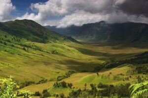 Bukit Teletubbies Bromo – Savana Eksotis di Jawa Timur yang Harus Kamu Kunjungi