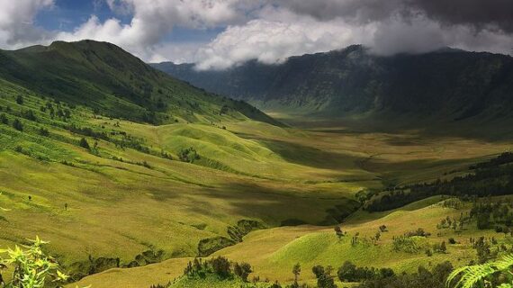 Bukit Teletubbies Bromo – Savana Eksotis di Jawa Timur yang Harus Kamu Kunjungi