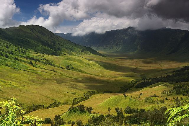 bukit teletubbies bromo