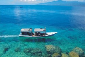 Wisata Pulau Tabuhan Banyuwangi: Eksplorasi Pantai & Pulau Tropis di Ujung Nusantara