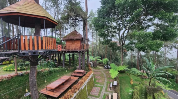 Desa Wisata Gubugklakah: Pintu Gerbang Alam Asri di Lereng Bromo Malang