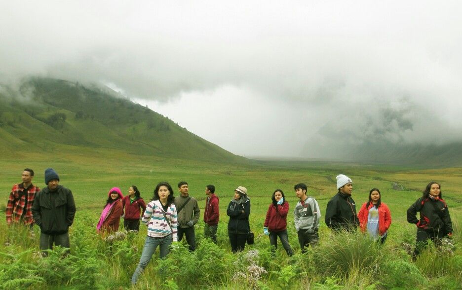 Bukit savana bromo