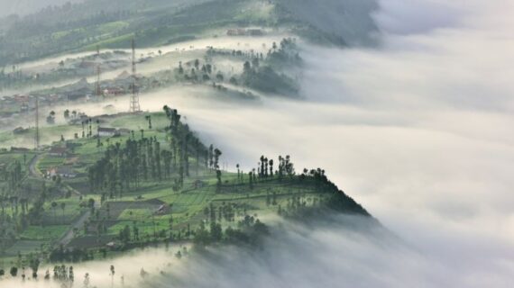 Probolinggo Bromo Tour: Rute Terfavorit Menuju Keindahan Gunung Bromo