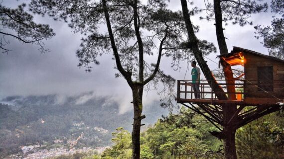 Omah Kayu Gunung Banyak: Sensasi Menginap di Atas Pohon dengan Pemandangan Kota Batu Terbaik