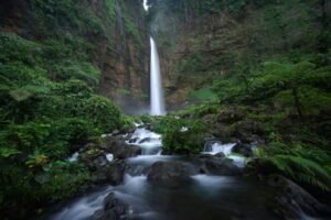 Kapas Biru Waterfall Lumajang: Surga Air Terjun Tersembunyi di Lereng Semeru