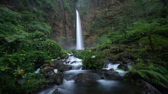 Kapas Biru Waterfall Lumajang: Surga Air Terjun Tersembunyi di Lereng Semeru