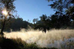 Wisata Ranu Regulo: Keindahan Danau Ranu Regulo di Lereng Semeru
