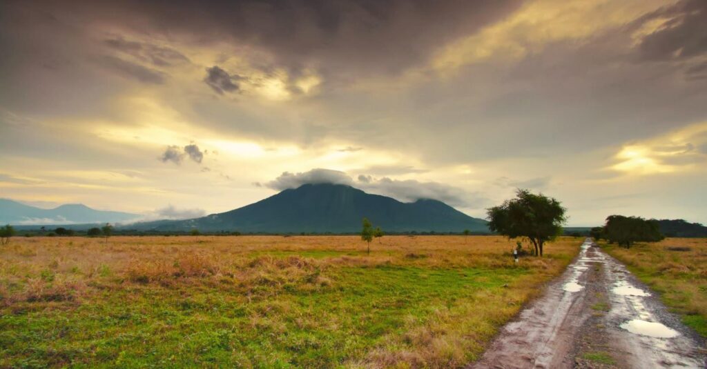 taman nasional baluran