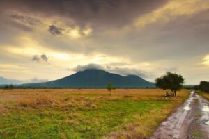 Taman Nasional Baluran: Pesona “Africa van Java” di Ujung Timur Jawa