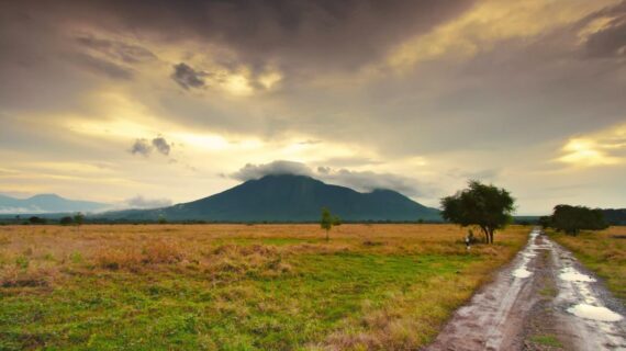 Taman Nasional Baluran: Pesona “Africa van Java” di Ujung Timur Jawa