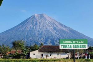 Keindahan Teras Semeru Lumajang Jawa Timur yang Viral untuk Healing dan Hunting View Alam