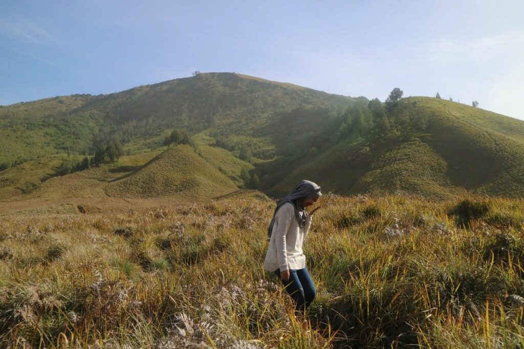 musim Bromo membeku
