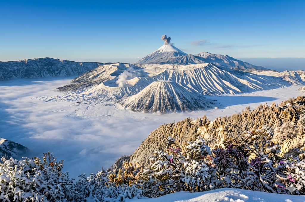 musim bromo membeku