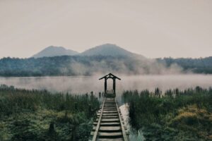 Danau Taman Hidup Argopuro: Pesona Danau Alami di Tengah Pegunungan Jawa Timur
