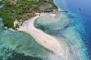 Snorkling Menjangan Island : Keindahan Bawah Laut Menjangan yang Wajib Dicoba