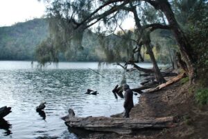 6 Tasik dan Danau di Jawa Timur dengan Pemandangan Menenangkan