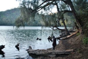 danau ranu pane