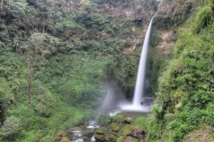 Tempat Wisata Pronojiwo