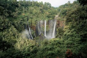 Tempat Wisata Pronojiwo